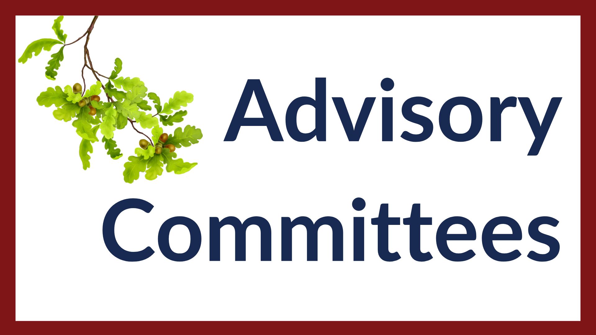 Divider photo with Oak tree branch and words: Advisory Committees.